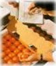 Foto Quality Management Systems